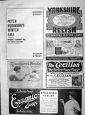 Original Old Antique Print 1904 Yorkshire Relish Erasmic Soap Allenburys Foods