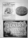 Original Old Antique Print 1904 Dewars White Label Whisky Wrights Coal Tar Soap
