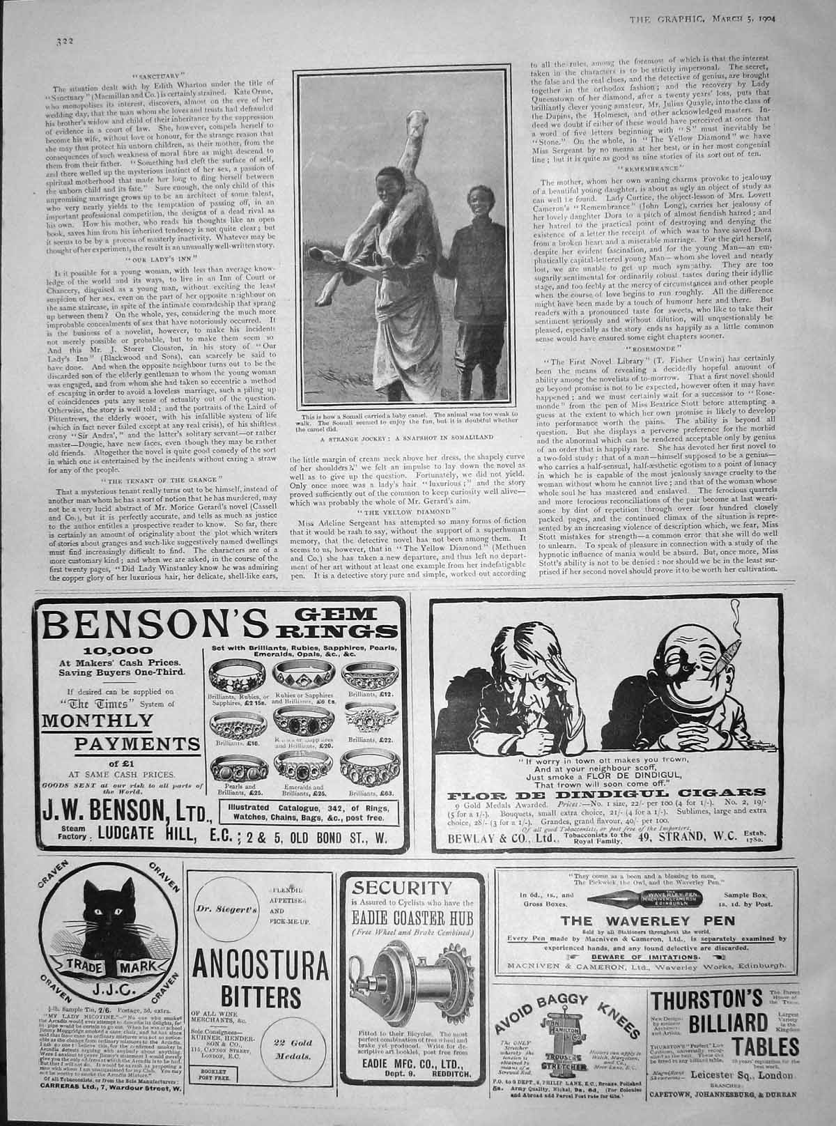 Old Antique Print 1904 Somaliland Baby Camel Somali Bensons Rings Craven 20th