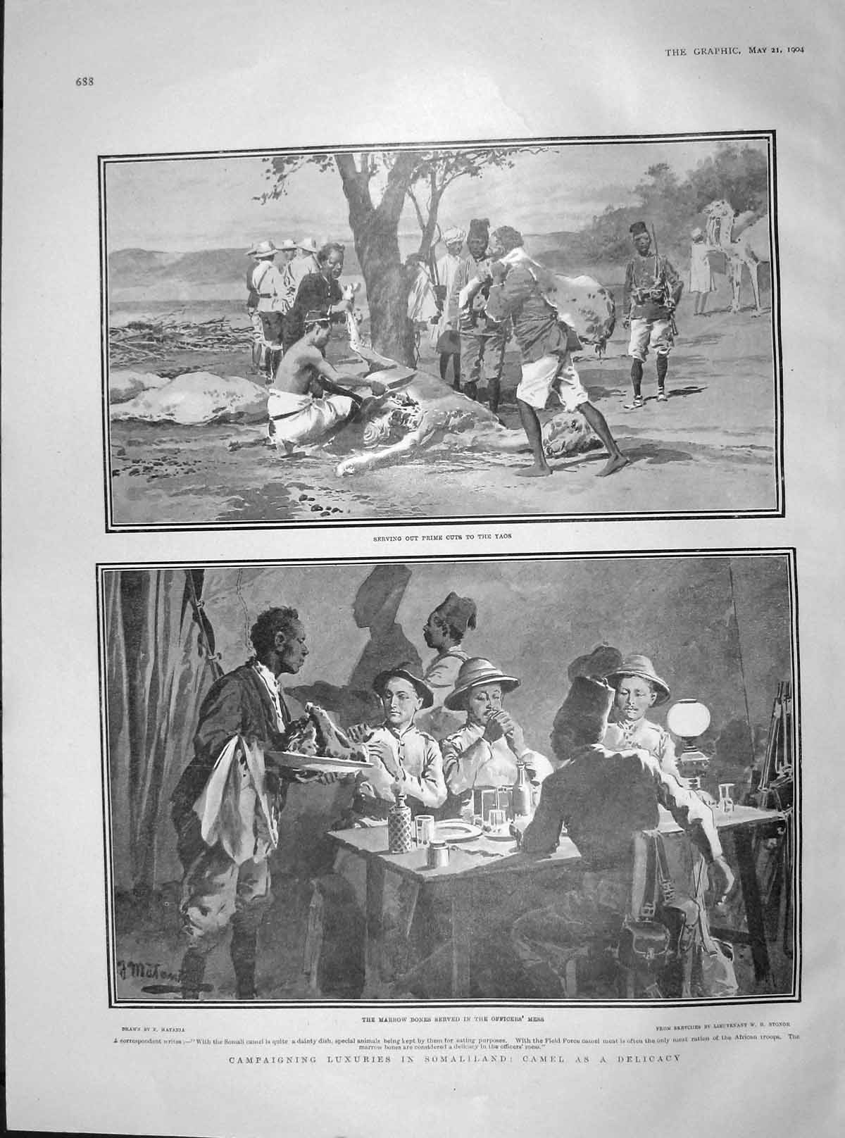 Old Antique Print 1904 Somaliland Camel Dinner Antarctic Ship Discovery 20th