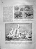 Old Antique Print 1904 Lords Commons Polo Yachts Ingomar Brynhilde Dover 20th