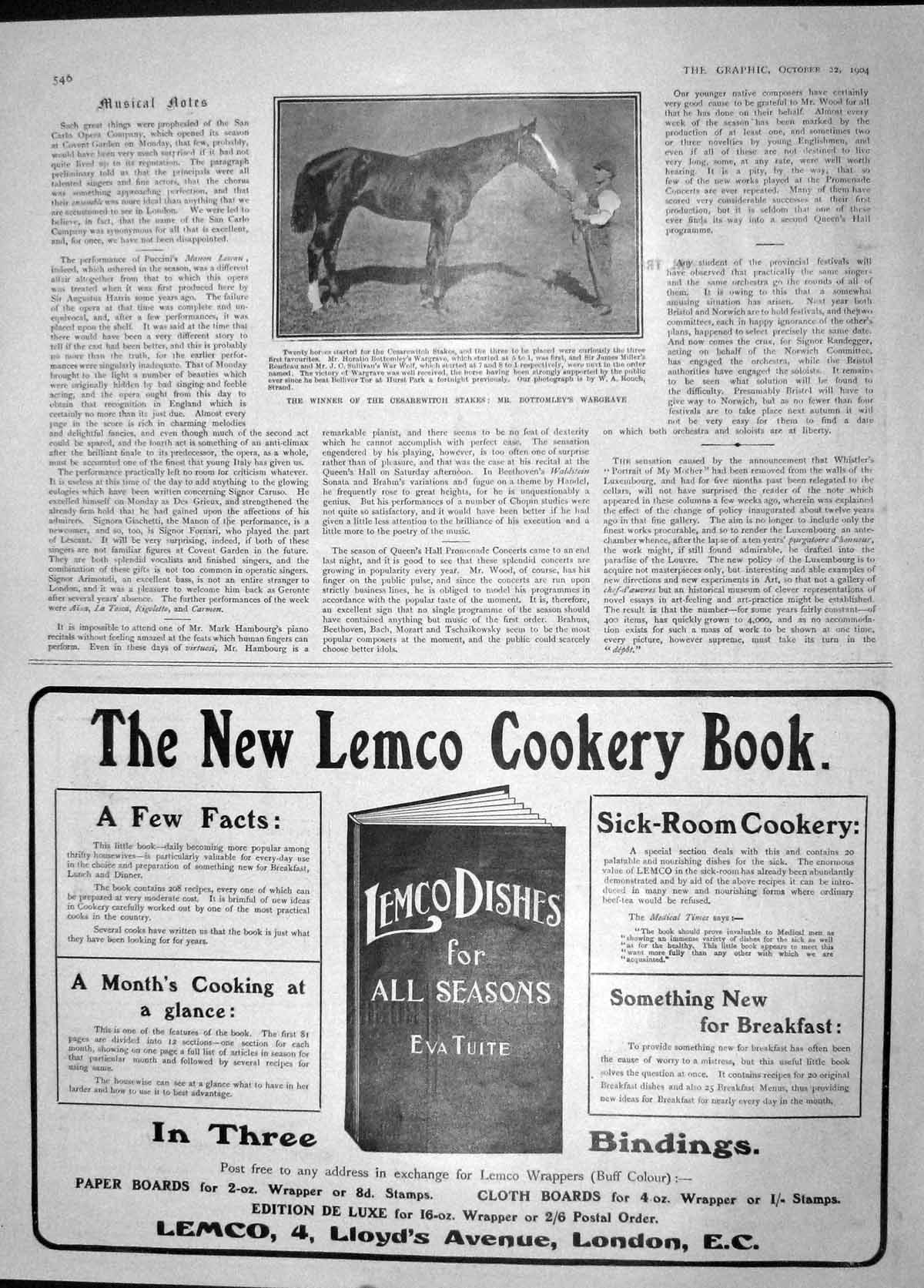 Old Antique Print 1904 Horse Cesarewitch Bottomley Wargrave Lemco Cookery 20th