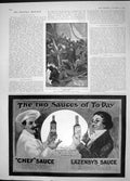 Old Antique Print 1904 Ship Boat Fight Battle Chef Lazenby Sauce Advert 20th