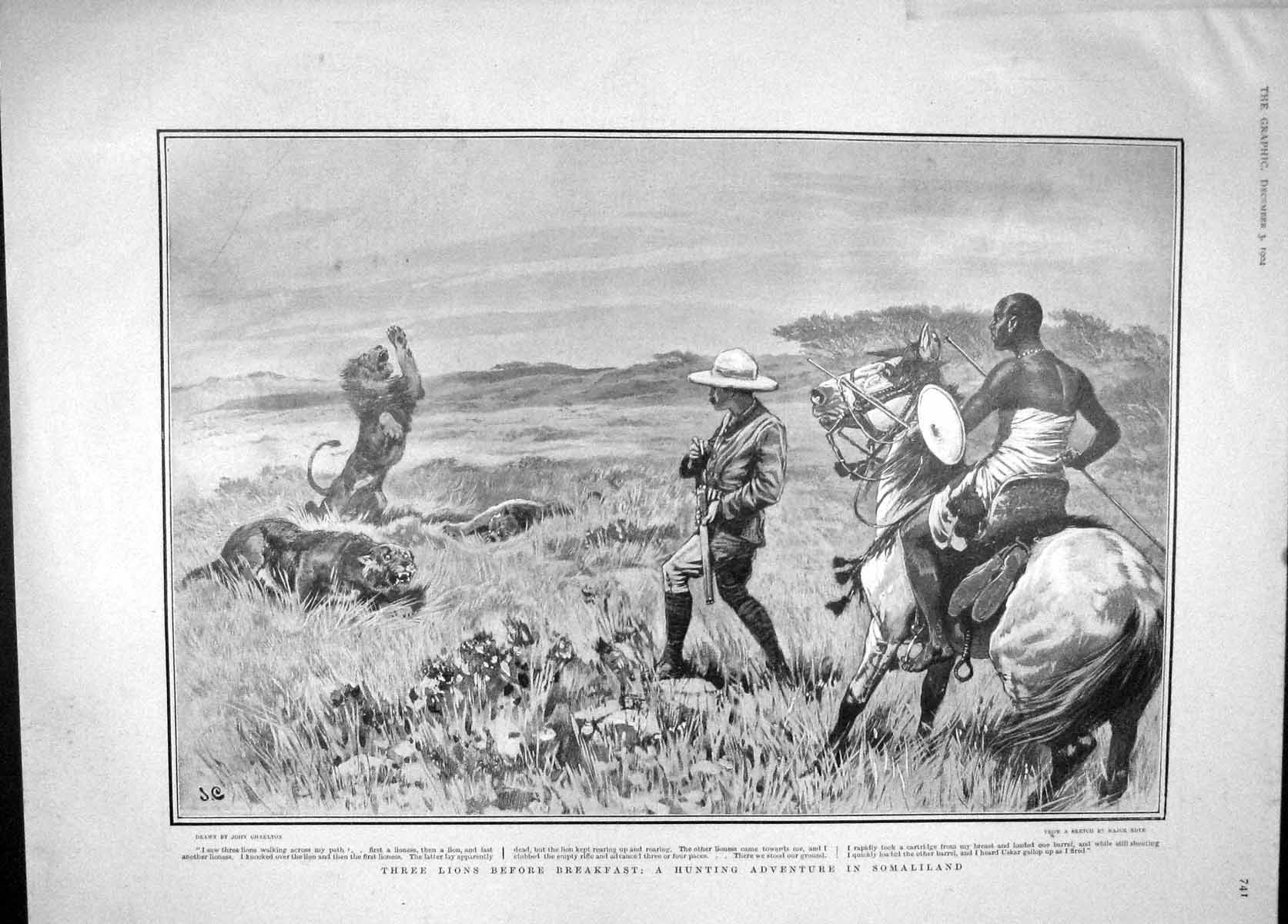 Old Antique Print 1904 Lions Hunting Somaliland Warre Ring Brogar Stennes 20th