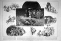 Antique Old Print 1904 Night Hunting Scene Lion Somaliland Shooting Sport 20th