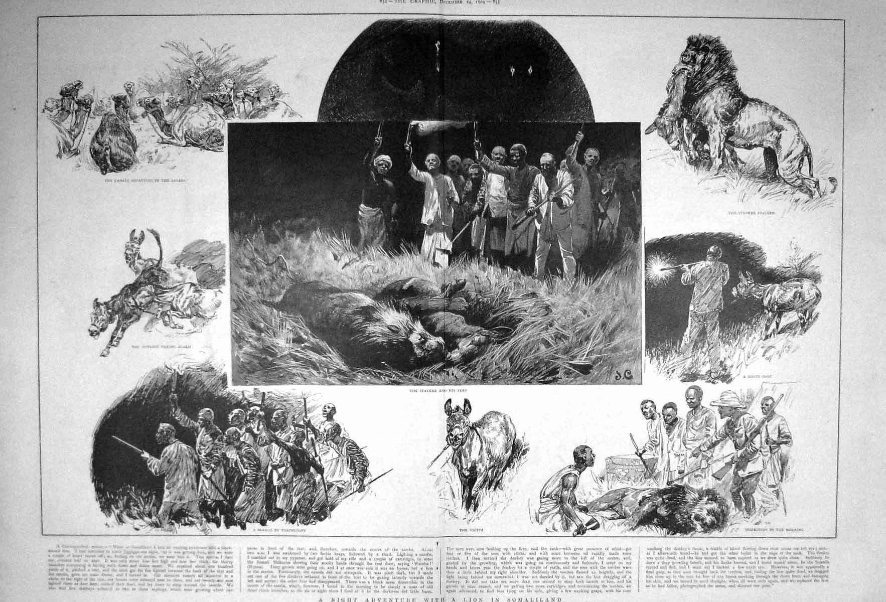 Antique Old Print 1904 Night Hunting Scene Lion Somaliland Shooting Sport 20th