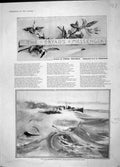Original Old Antique Print 1904 Story Illustrations Dryad'S Messenger Weguelin