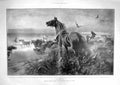 Old Antique Print 1905 Abandoned War Horses Beach Jutland Spain Charlton 20th