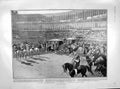 Old Antique Print 1905 Bloodless Bull-Fight Lisbon Verne Queen Alexandra 20th