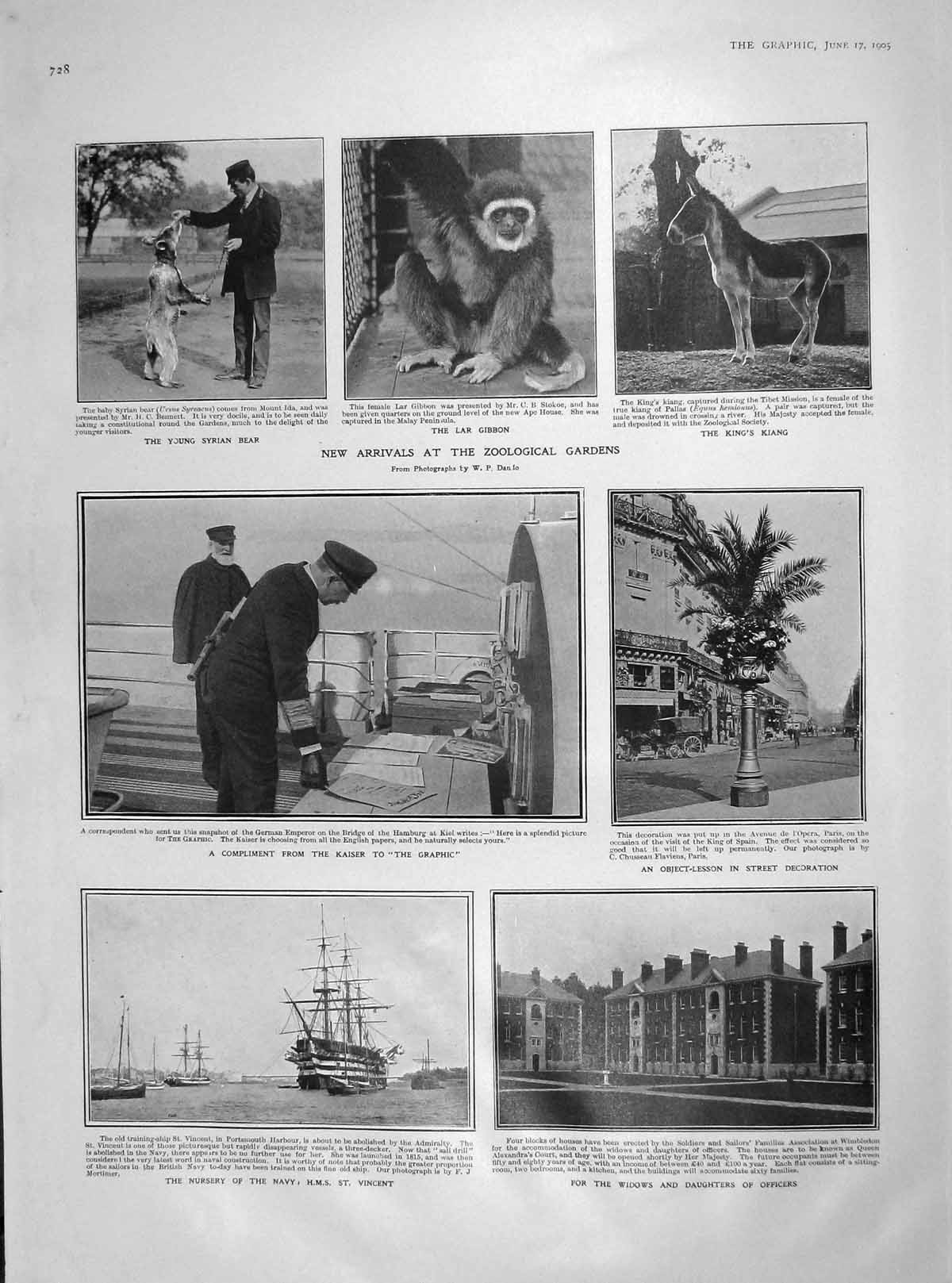 Old Antique Print 1905 Zoo Gibbon Kiang Syrian Bear Ship Vincent Sofiero 20th