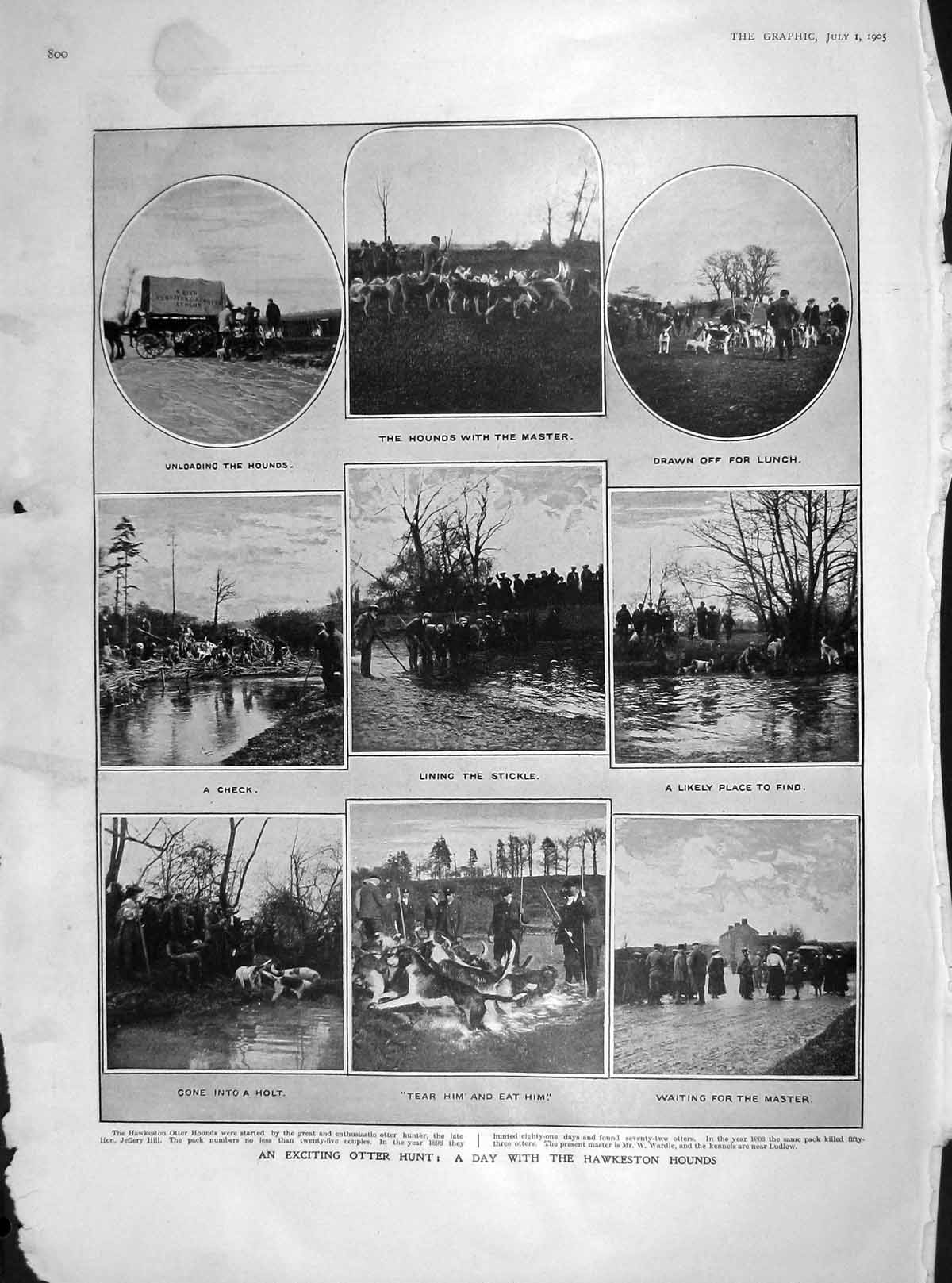 Original Old Antique Print 1905 Otter Hunting Hawkeston Hounds Cape Town Leyden