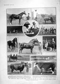 Old Antique Print 1905 Agricultural Show Park Royal Naval Port Brest Ship 20th