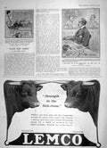 Old Antique Print 1905 Police Court Hugh Watt Lemco Liebig Extract Cows 20th