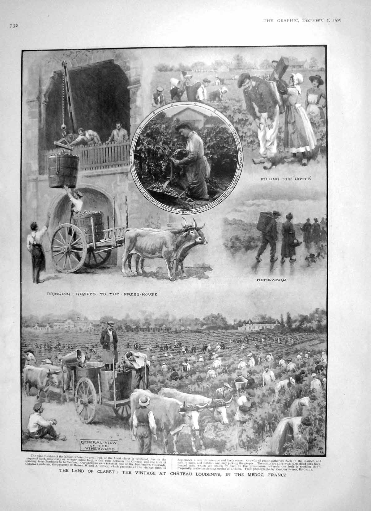 Original Old Antique Print 1905 Claret Chateau Loudenne Medoc Doberitz 20th