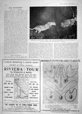 Old Antique Print 1905 Lioness Hunting Donkey Riviera Tour France Railway 20th