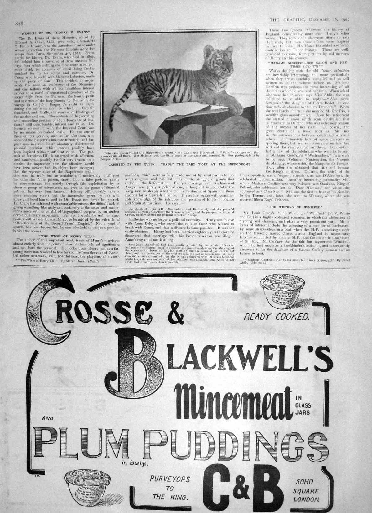 Old Antique Print 1905 Babs Baby Tiger Hippodrome Crosse Blackwell Plum 20th