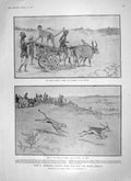 Old Antique Print 1906 Hunting Hyderabad Black Buck Cheetah Balfour Dilke 20th