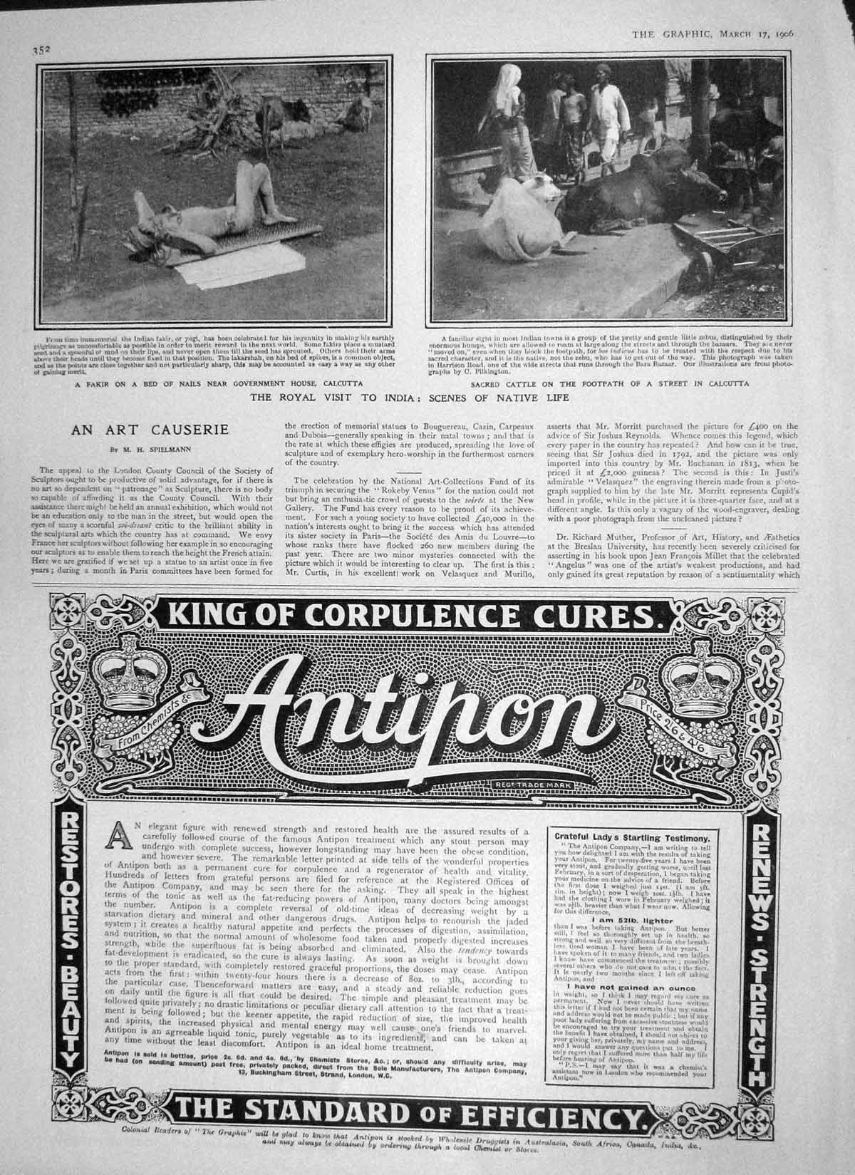 Original Old Antique Print 1906 Natives India Sacred Cattle Calcutta Government