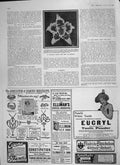 Original Old Antique Print 1906 Orchid Flower Odontoglossum Crispium Pittianum