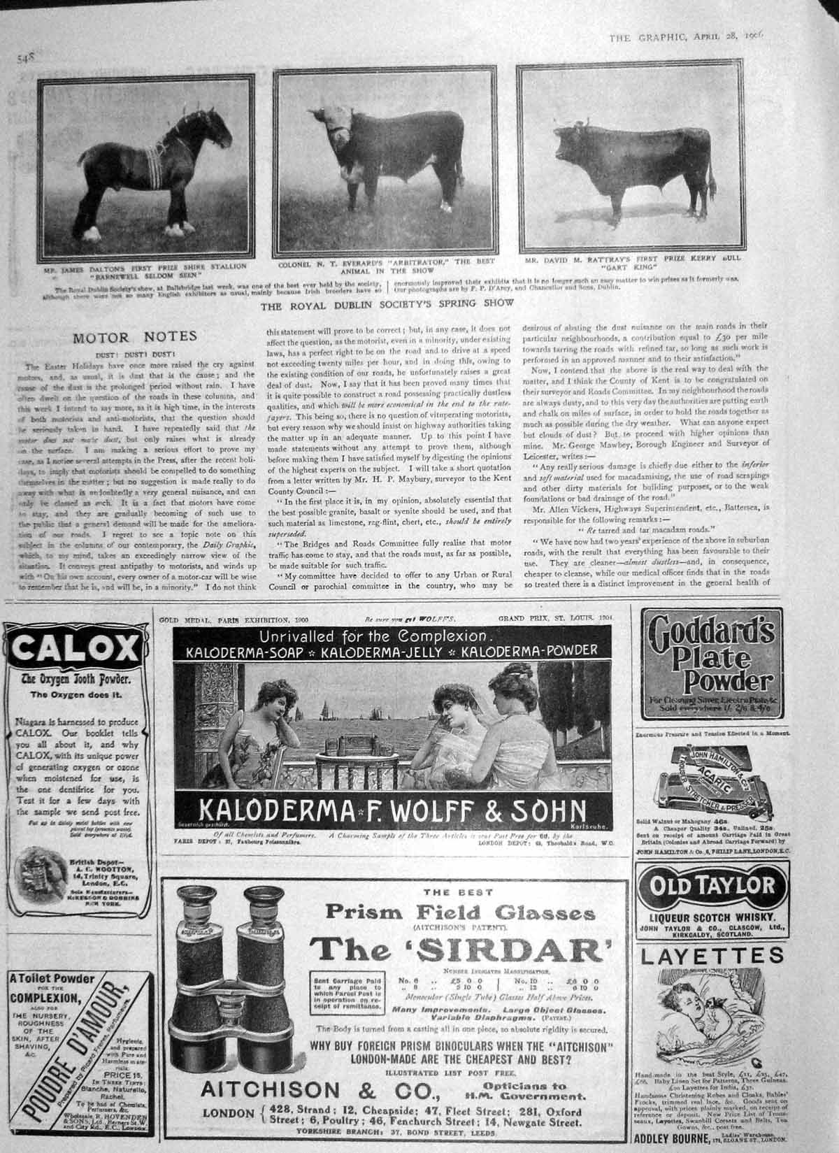 Original Old Antique Print 1906 Dublin Spring Show Stallion Horse Bull Rattray