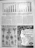 Old Antique Print 1906 Chart Imports Exports Alexander Clark Benger Food 20th