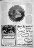 Old Antique Print 1906 Princess Ena Pug Dog Sunlight Soap Lever Allenbury 20th