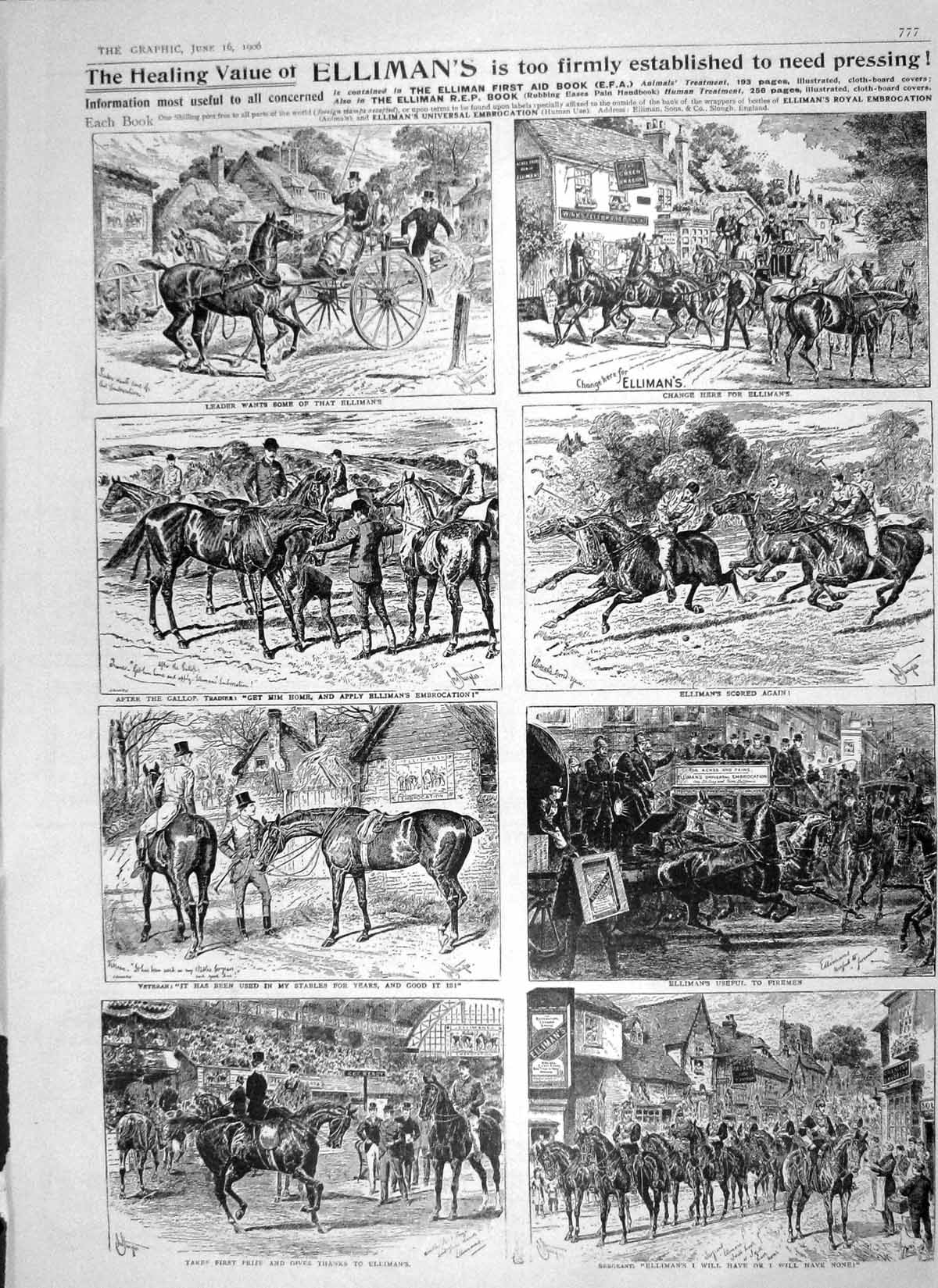 Old Antique Print 1906 Advertisement Ellimans Embrocation Horses Health 20th