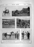 Original Old Antique Print 1906 Royal Ascot GCup Horse Race Button Ballet Ship
