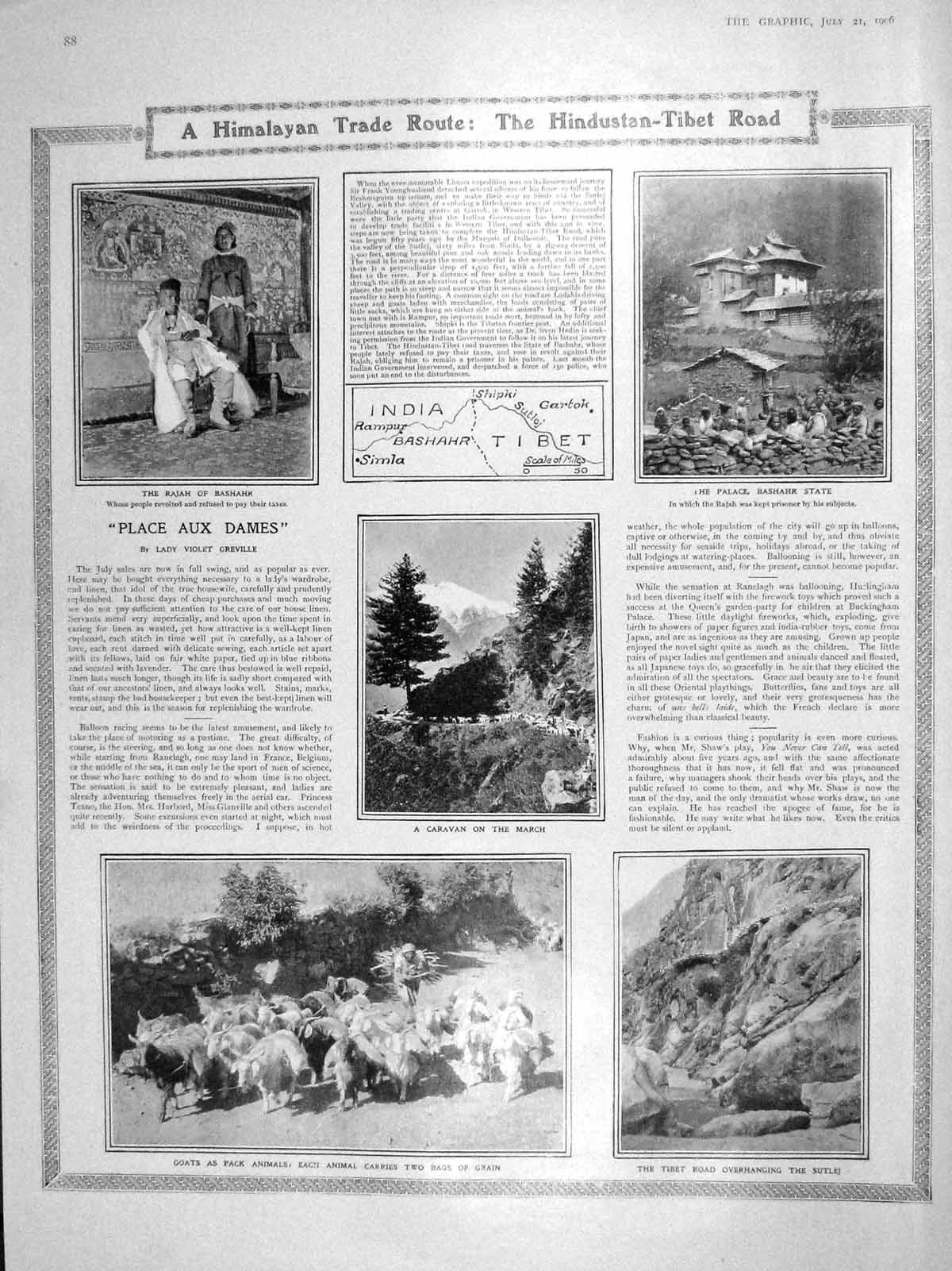 Old Antique Print 1906 Tibet Palace Bashahr Goats Belfast Aldershot Paris 20th