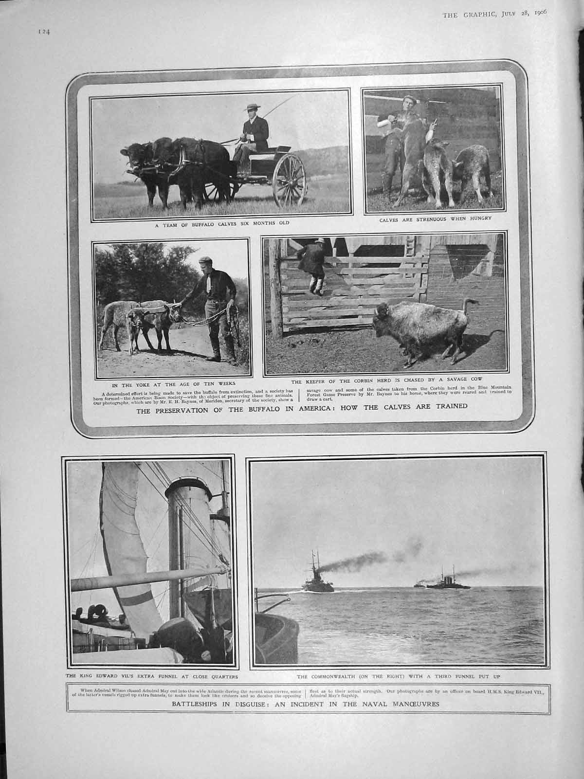 Old Antique Print 1906 Buffalo America Ship Commonwealth Gladstone Perkin 20th