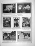 Old Antique Print 1906 Chamberlain Roseberry Horse Neumann'S Lady Curzon 20th