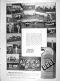 Original Old Antique Print 1906 Advertisement Odol Chemical Works London 20th