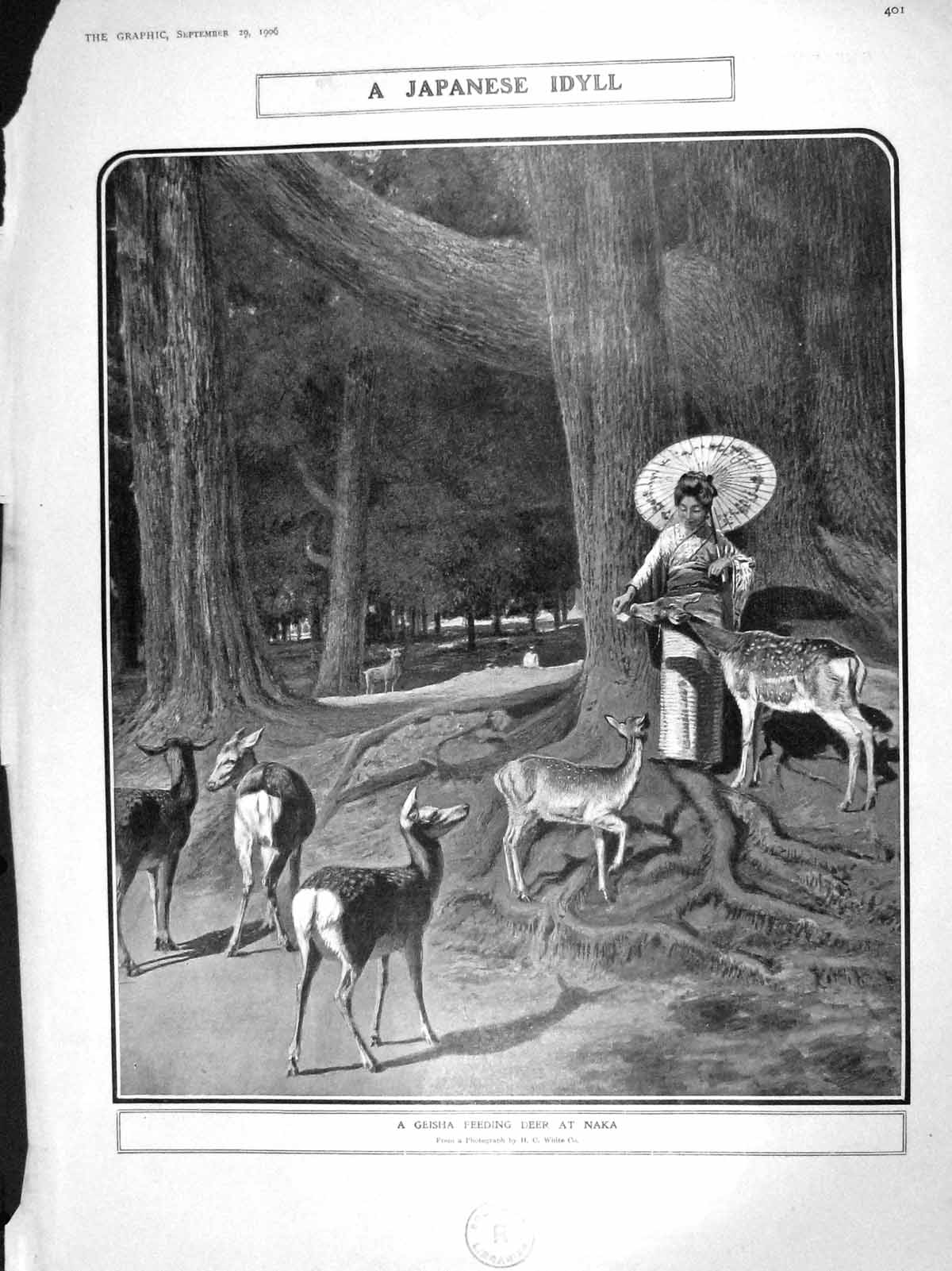 Old Antique Print 1906 Japan Geisha Deer Naka Thring Husk Smyth Massy War 20th