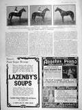 Original Old Antique Print 1906 Beppo Polymelus Candahar Horse Racing Newmarket
