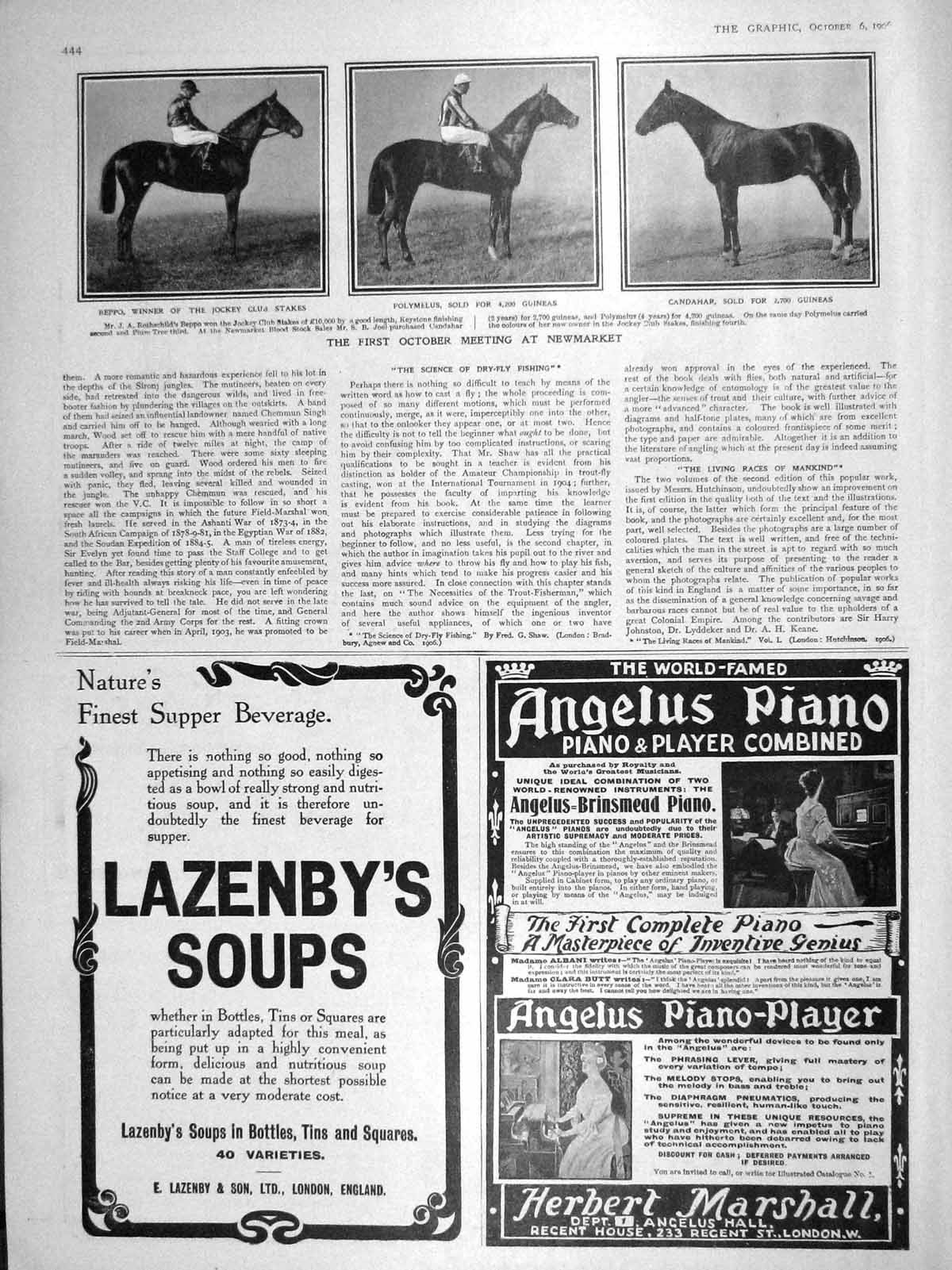 Original Old Antique Print 1906 Beppo Polymelus Candahar Horse Racing Newmarket