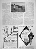 Old Antique Print 1906 Child Genius Vivien Chartres Music Violin Lazenby 20th
