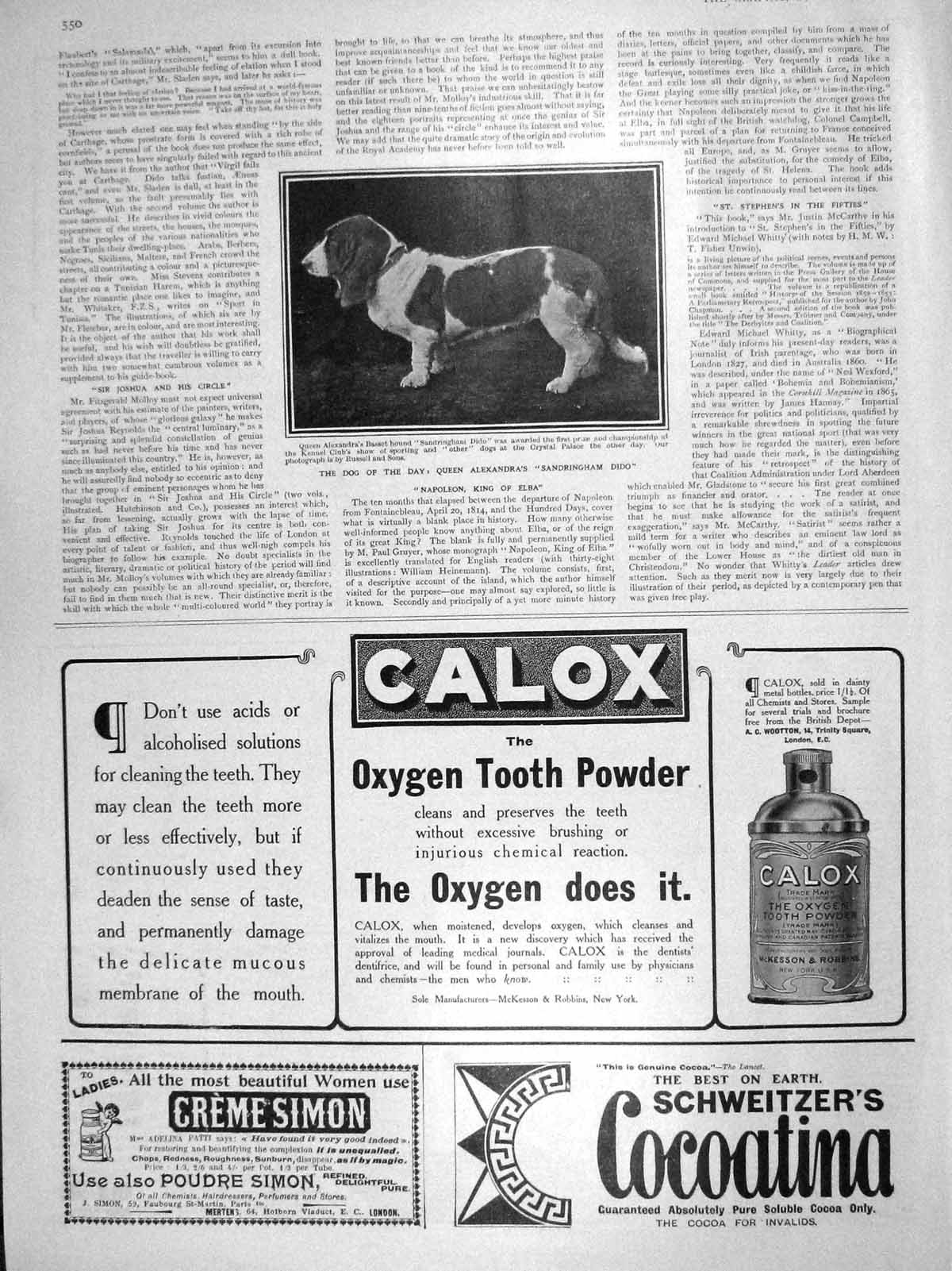 Old Antique Print 1906 Queen Alexandra Dog Basset Hound Sandringham Dido 20th