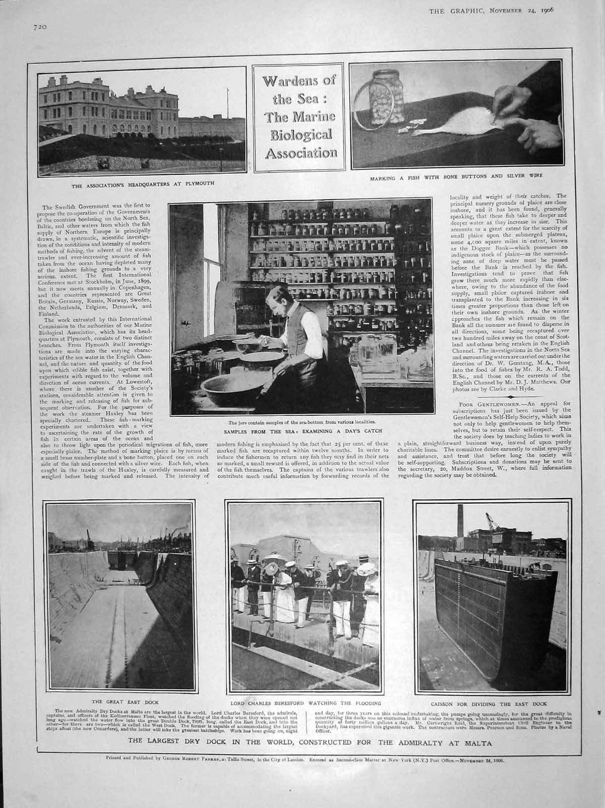 Old Antique Print 1906 Marine Biological Plymouth Dry Dock Lord Beresford 20th