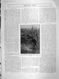 Old Antique Print 1906 Brush-Tailed Rat-Kangaroo Nest London White Tower 20th
