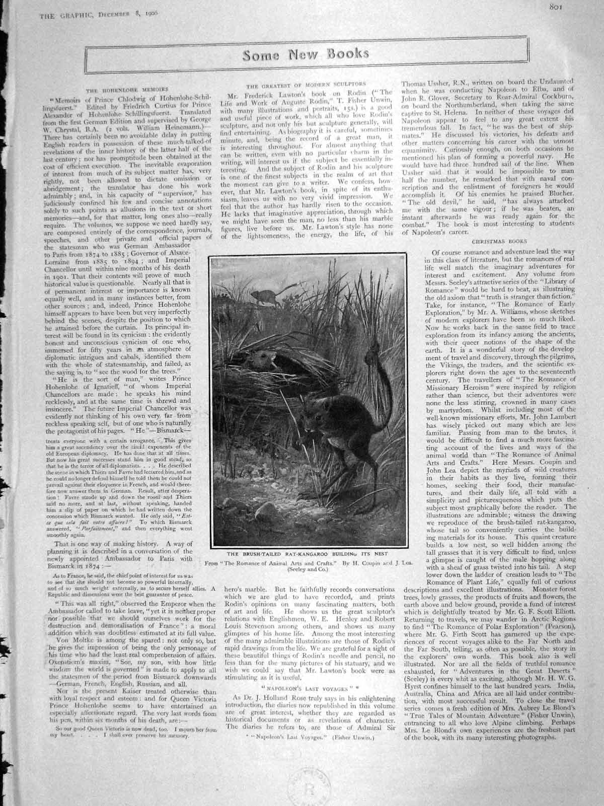 Old Antique Print 1906 Brush-Tailed Rat-Kangaroo Nest London White Tower 20th