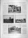 Old Antique Print 1906 America Unemployed Fruit Philadelphia Leng Ellis 20th