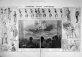 Original Old Antique Print 1907 Pantomime Drury Lane Theatre Sinbad Warde Bury