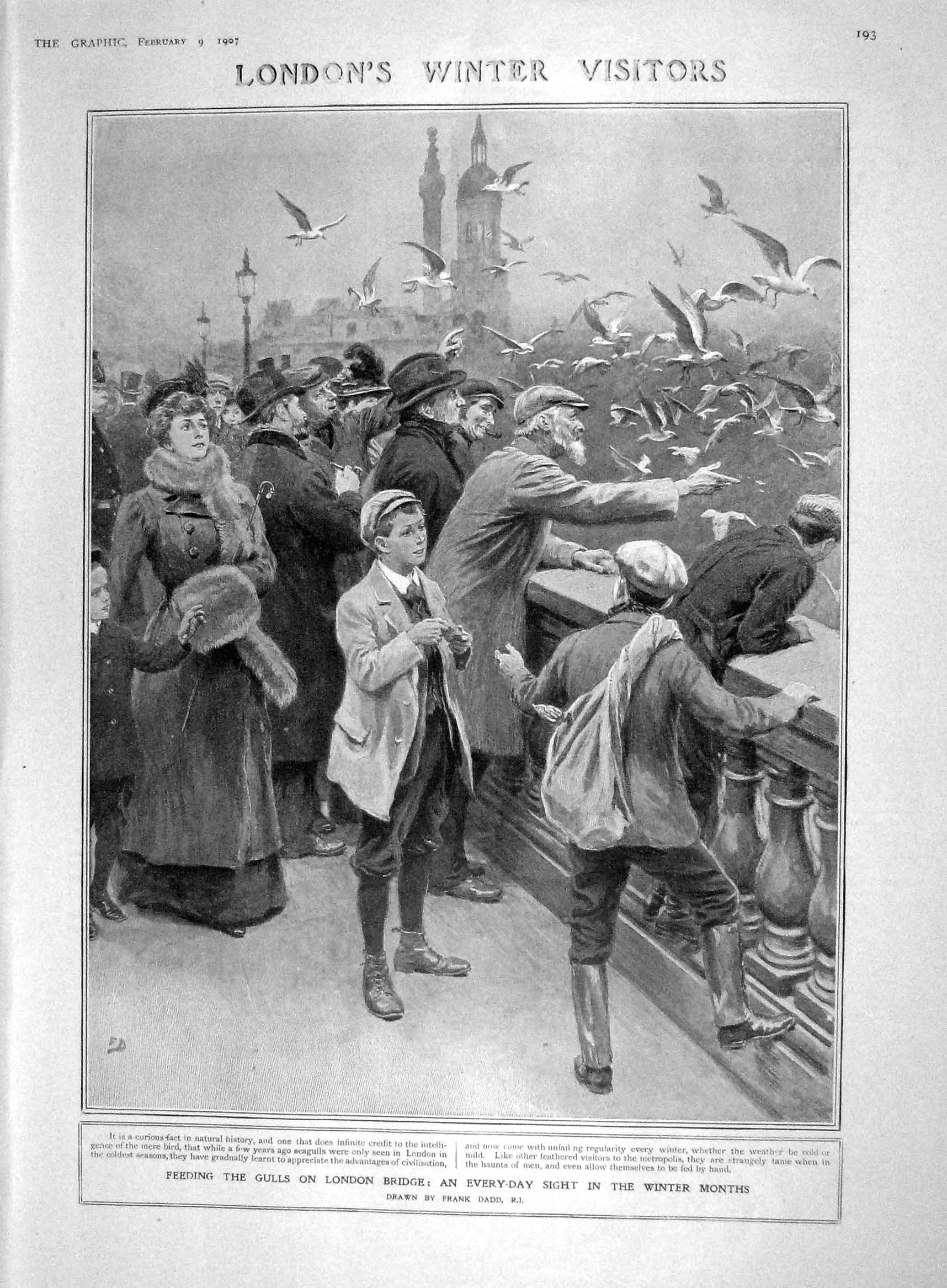 Old Antique Print 1907 Feeding Gulls Bird London Cleroy Mendelejeff Paris 20th