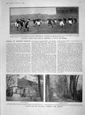 Old Antique Print 1907 Scotland Wales Rugby Homeshall Farm Prince Persia 20th
