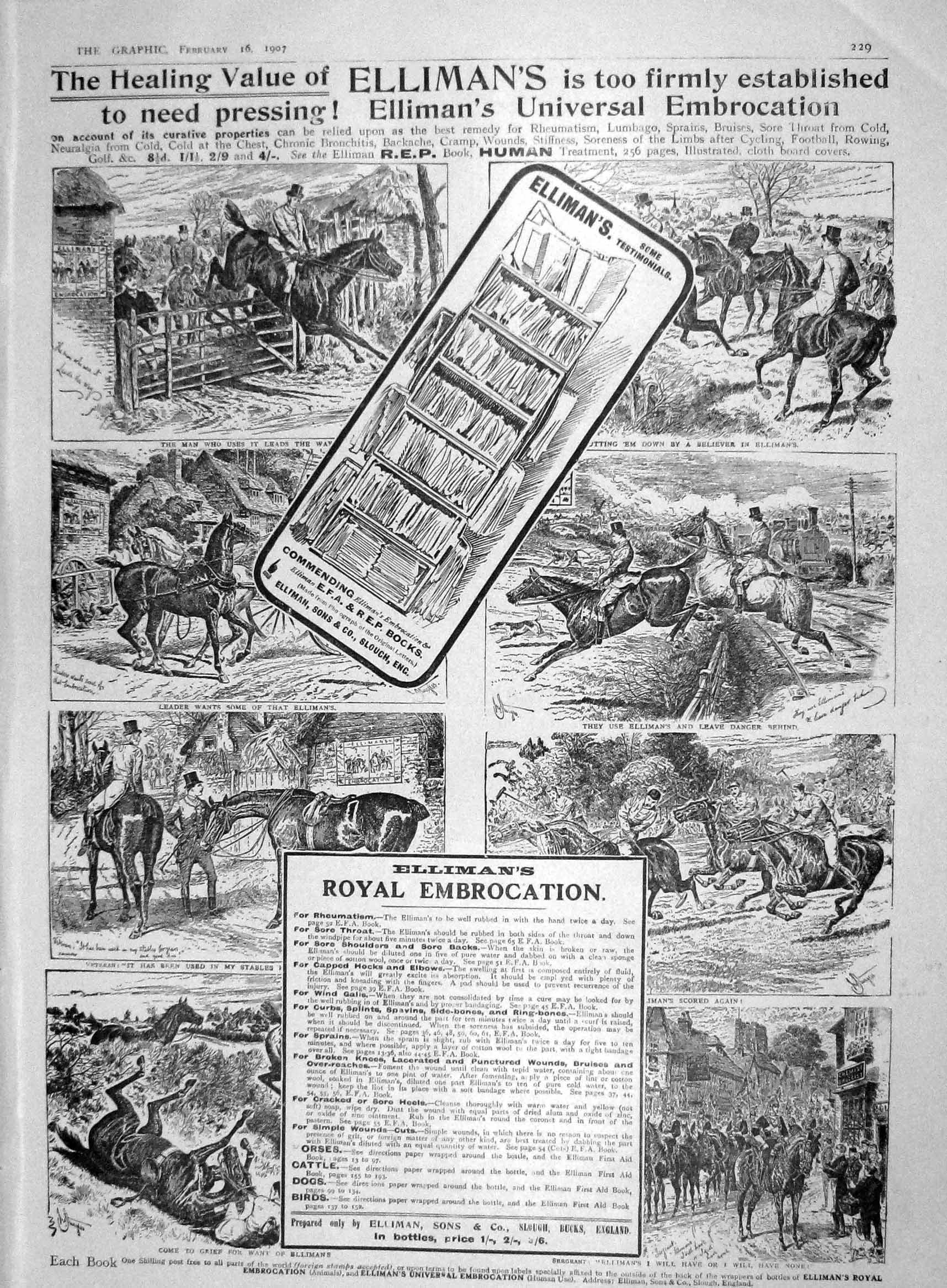 Original Old Antique Print 1907 Advertisement Ellimans Royal Embrocation Horsse