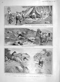 Original Old Antique Print 1907 Leopard Hunting India Jungle Wild Animals Sport