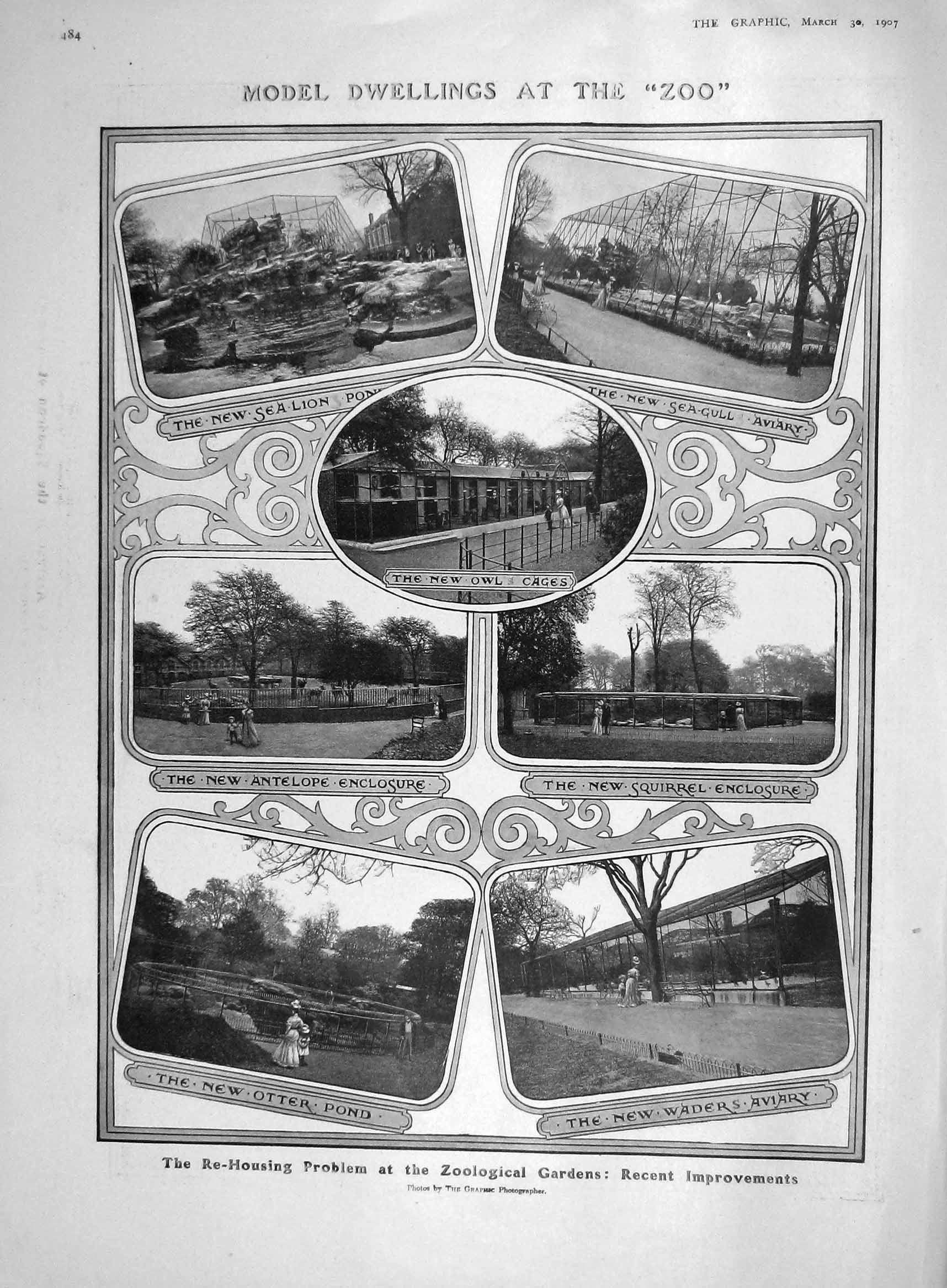 Original Old Antique Print 1907 Zoo Lion Otter Antelope Aviary Ship Slava 20th
