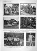 Original Old Antique Print 1907 Seligman Sylvan Ilford Boxing Morris Sultan 20th