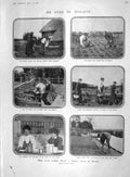 Original Old Antique Print 1907 Violet Farm Sussex Harvest Hemming Elliot Holt