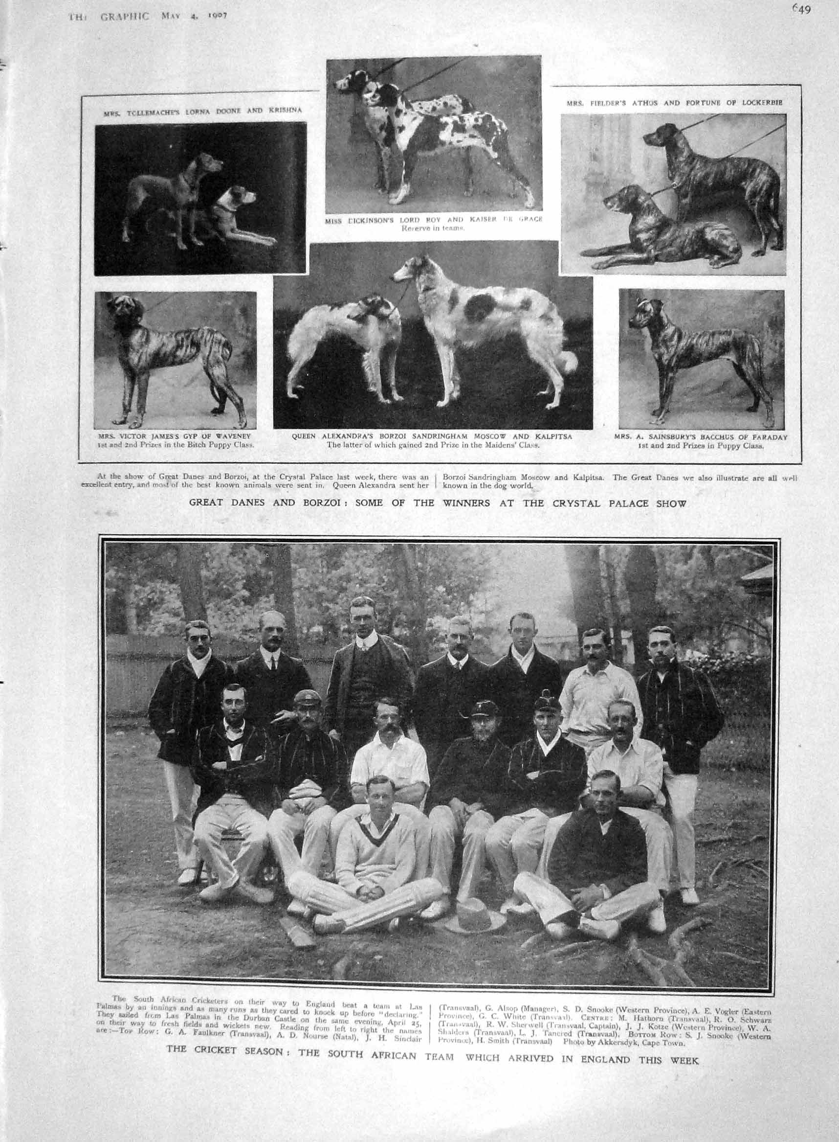 Original Old Antique Print 1907 Dogs Danes Borzoi Cricket Africa Prince Wales